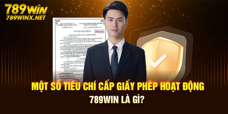 Một số tiêu chí cấp giấy phép hoạt động 789Win là gì?