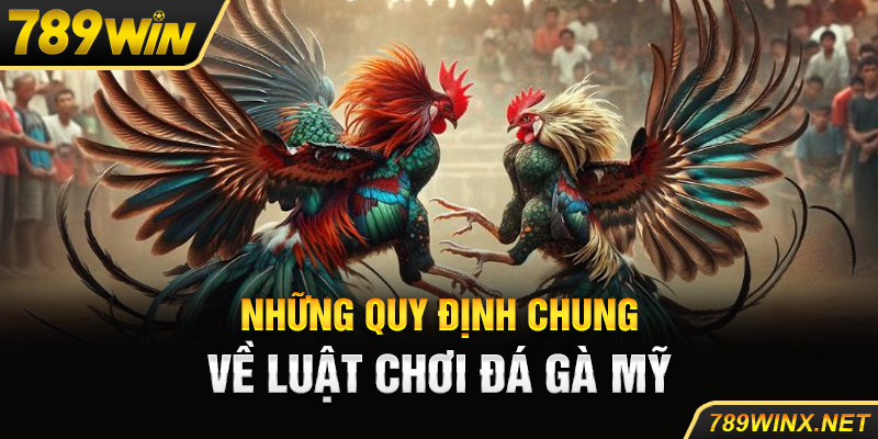 Những quy định chung về luật chơi đá gà mỹ